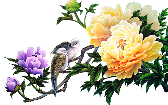小鸟牡丹花