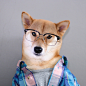 Bodhi是一只柴犬，来自美国纽约。在它主人的帮助下，Bodhi成为了风靡一时的时尚新宠。它真的比绝大多数的男人都还会穿衣服。