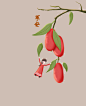 红枣