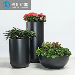 西瓜瓜123采集到组合花箱