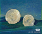 Les coquilles• 贝壳
艺术家 马克斯 • 恩斯特 (Max Ernst,
1891-1976） 德裔法国画家，雕塑家，图形艺术家，诗人。