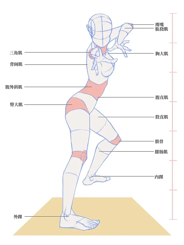 钱怼怼 - 小红书