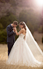 Mermaid Wedding Dress with Rich Beadwork : Rich beadwork and unique detailing make this fit-and-flare gown from Essense of Australia a head-turning style! A slight V-neckline sets the stage for romance on this gown and is accented perfectly with lace stra