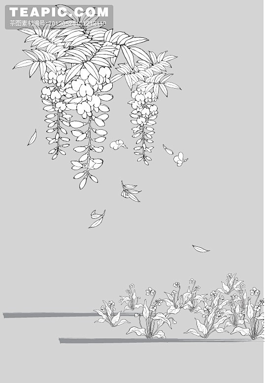 植物花卉图片#花卉##素材##植物##艺...