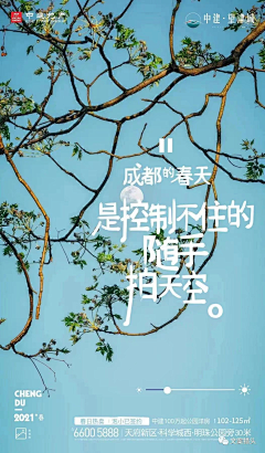 一枚辛辛采集到地产-春天/春日/春