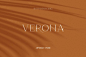 极简主义奢侈品牌婚礼现代衬线英文字体 Verona - Elegant Display Serif