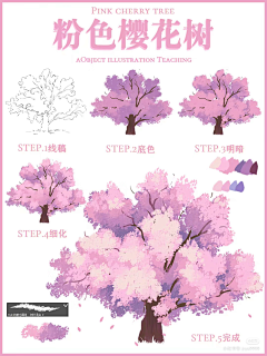 南景花红采集到樱花