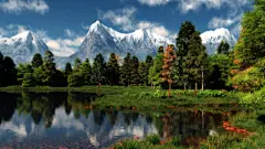 树林风光_树林风景_唯美风光_精美风景_树木植物_2014年48周壁纸精选_桌面壁纸_爱壁纸HD