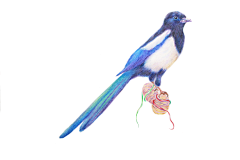 杏花儿采集到插花