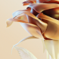 FLORA : Experimental piece combining different color palettes, natural elements and a glass shader. 