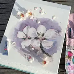 水彩---樱花-梨花-桃花-海棠花、梅花 - 高清图片，堆糖，美图壁纸兴趣社区