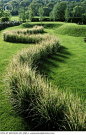 Feather Reed Grass, serpentine fashion.