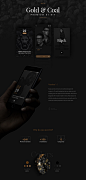 黄金和煤炭iOS UI界面 超过150个元素的高级PSD iOS UI设计 Gold & Coal iOS UI Kit - pic_009.jpg