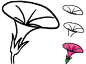 牵牛花简笔画