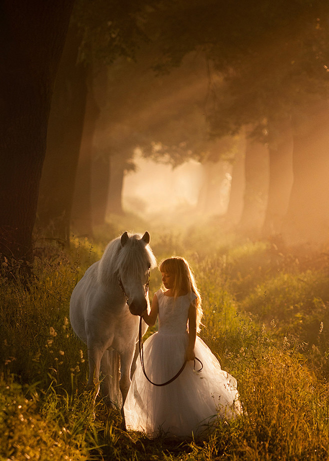 Photograph fairytale...