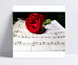钢琴谱和玫瑰花|钢琴谱,鲜花,玫瑰,唯美,艺术,贵族,鲜花园艺,全屏海报,电商模板