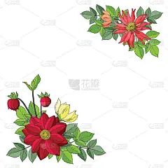 秋天的花叶框架:大丽花，百日草。手绘矢量插图孤立在白色背景。