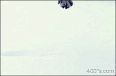 hawaii555采集到GIF