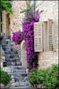 #庭院# #花园# #田园#
sunsurfer: Stairway, Provence, France, photo by Paul    (via sunsurfer-deactivated20110911) by minerva