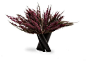 Bana Triple Vase #accessories #Fall-Collection #home-accents