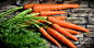 胡萝卜, 红萝卜, 蔬菜, 收获, 健康, 联邦政府, 联邦的胡萝卜, 营养
