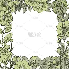 玫瑰果花。无缝的框架。背景说明。手绘轮廓。园林植物的开花抽象工厂图片。向量