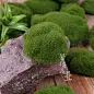 仿真植毛石头苔藓球绿色青苔石石块草坪植绒假石头装饰品摆件软装-淘宝网