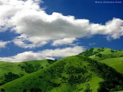 山顶壁纸2014护眼壁纸图片【2014好看的绿色风景护眼桌面壁纸大全1024x768】
