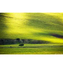 情迷扎鲁特_内蒙古_黄河上下_光影天下_数码生存-小林的摄影设计手绘文字