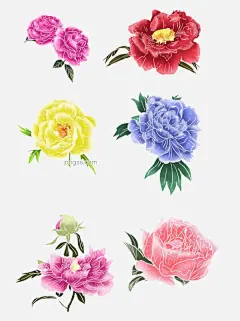 牡丹花手绘风格元素图片大小1024x1369px 图片尺寸1.09 MB 来自PNG搜索网 pngss.com 免费免扣png素材下载！花#花卉#卡通手绘#牡丹#手绘#鲜花#元素#