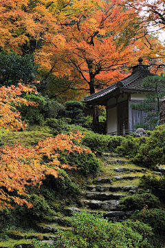 陆壹壹丶采集到实景