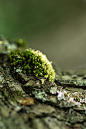 Withinfinite on Behance