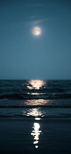 cyan晚采集到中秋