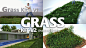 C4D Vray草坪草地园艺生成器预设Grass Kit v2 3D设计素材 