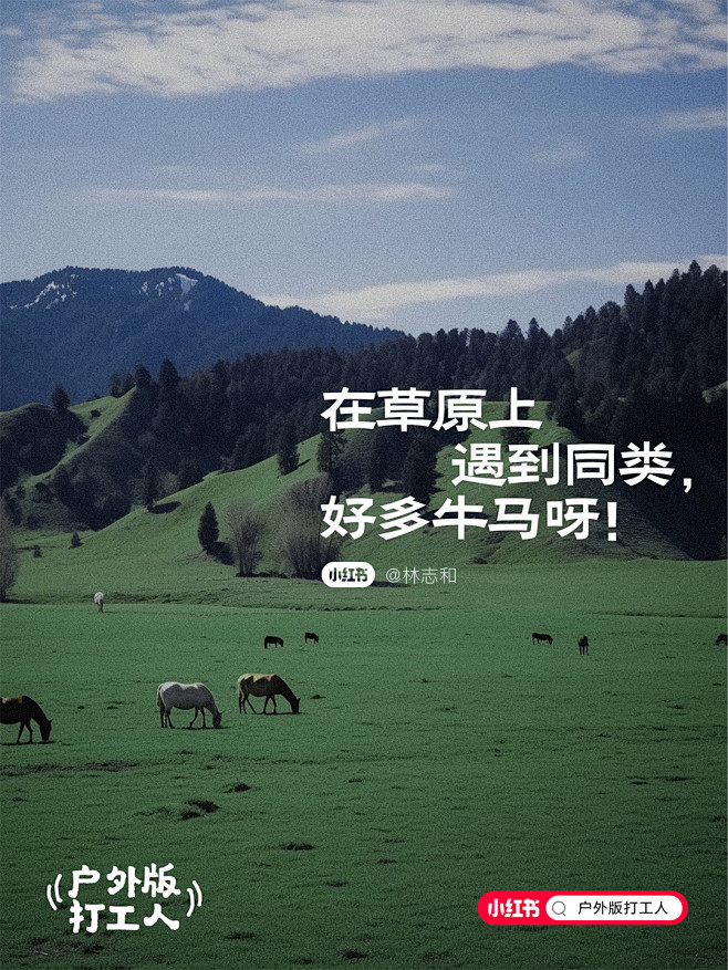 @林志和 小红书户外版打工人-户外文案海...