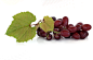 Branch, Grapes, Leaves wallpaper preview