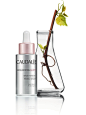 Caudalie-resveratrol-lift-firming-serum.jpg 1,800×2,400 像素