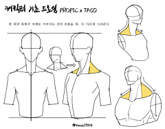 青简MIno_v_采集到人物结构动态