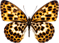 PNG透明元素<a class="text-meta meta-tag" href="/search/?q=动物">#动物#</a>