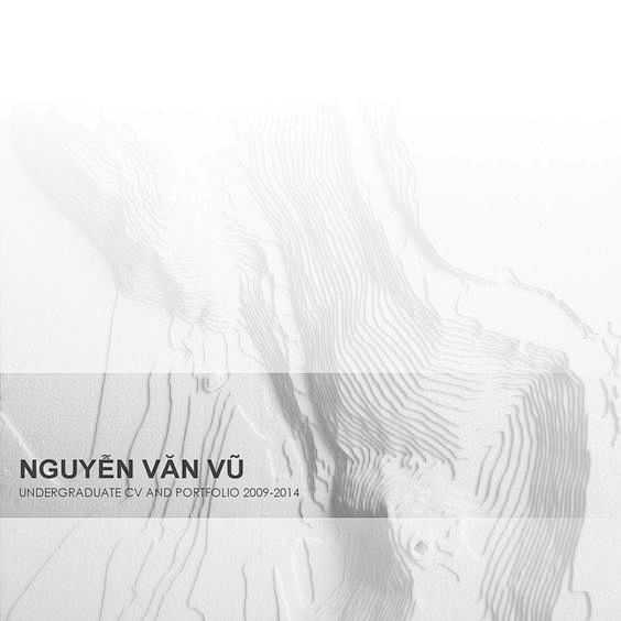 Nguyenvu portfolio 2...