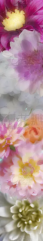 水彩花带