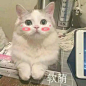 来自相册