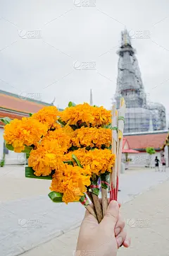 手捧鲜花在庙里拜佛