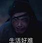 陈情令表情包