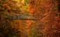 10月28日，苏格兰基利克兰基，人们站在桥上观赏秋景。