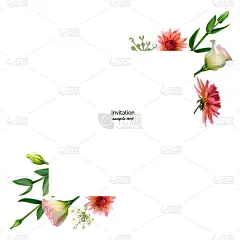 大丽花属,白色,洋桔梗,叶子,绿色,背景,红色,粉色,周年纪念,请柬