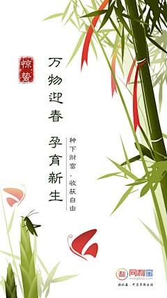 奇妙创意采集到节日节气