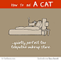最快的方式学会猫的作为
How To Be A Cat