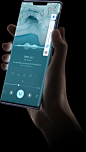 HUAWEI Mate 30 Pro 5G virtual volume buttons