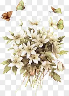 手绘花矢量图手绘花 春天唯美花簇蝴蝶